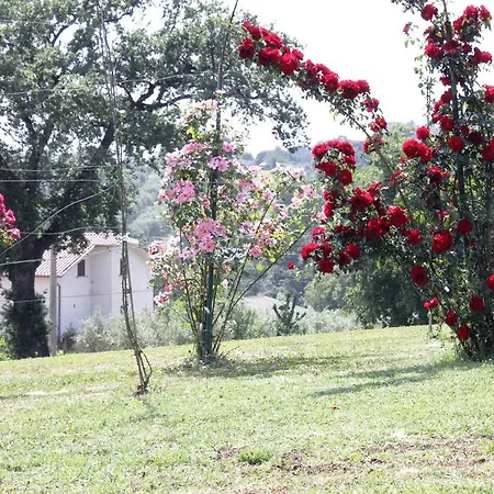 Farm stay Nociquerceto