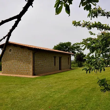 Nociquerceto * Tarano