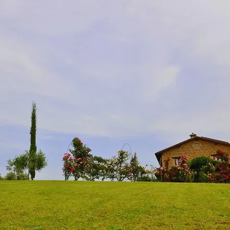 Nociquerceto *